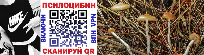 МЕГА сайт  Белоозёрский  Галлюциногенные грибы Psilocybine cubensis 