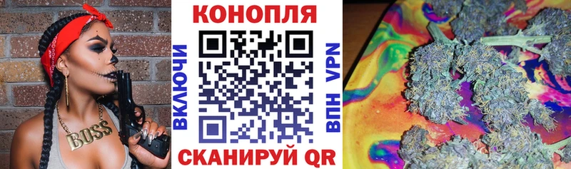 Конопля OG Kush Белоозёрский
